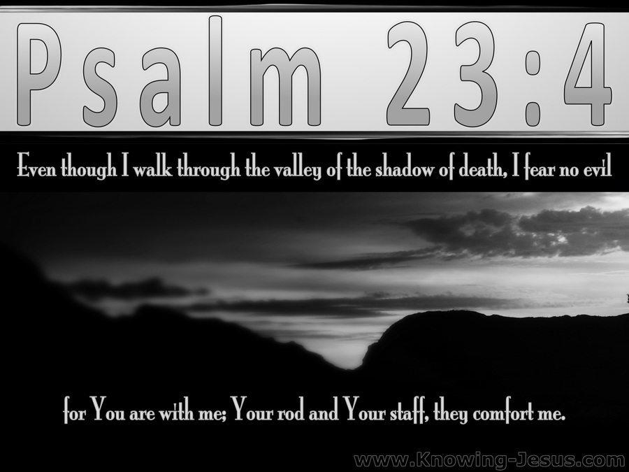 Psalm 23:4 The Valley Of The Shadow Of Death (gray)